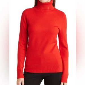 French Connection Baby Soft Turtleneck Sweater